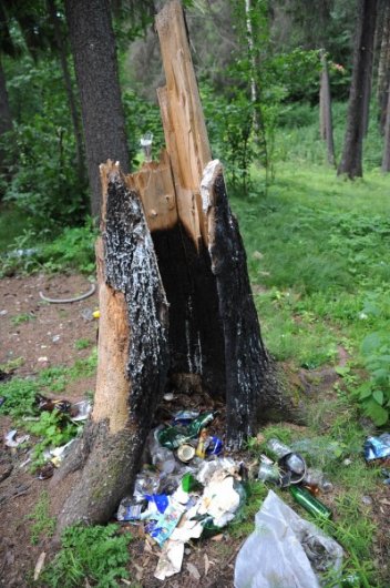 Что будет с лесом на улице 10 лет Октября в Ижевске?