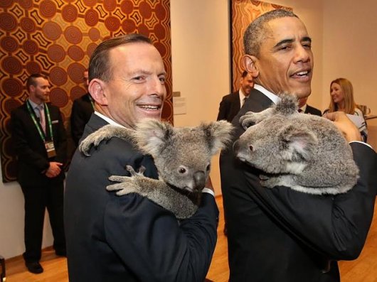 Австралийское «ми-ми-ми»: Владимир Путин сфотографировался с коалой на руках