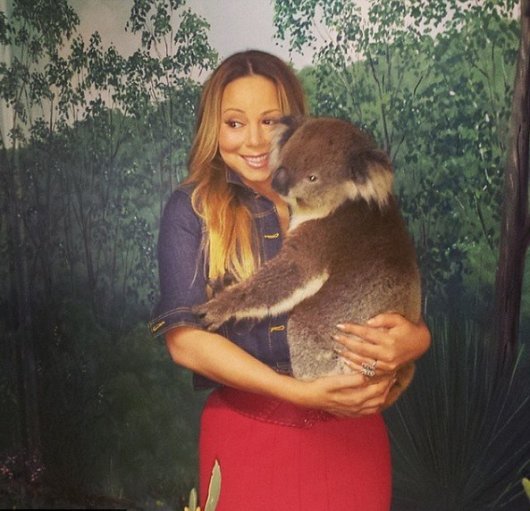 Австралийское «ми-ми-ми»: Владимир Путин сфотографировался с коалой на руках