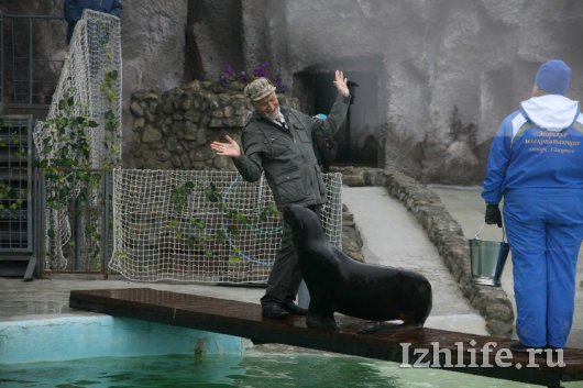 Ижевский зоопарк показали в программе «Лучшие зоопарки мира» Николая Дроздова