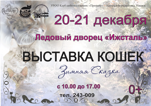 Скоро в Ижевске пройдет Международная выставка кошек «Зимняя сказка»