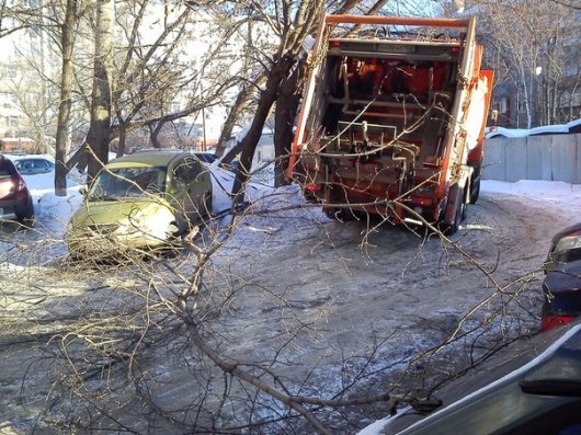 В Ижевске мусоровоз зацепил дерево, которое повредило три автомобиля