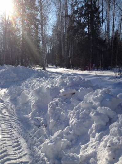 Сарапульчанка на Первом канале и конфликт вокруг лыжни: о чем говорят в Ижевске этим утром
