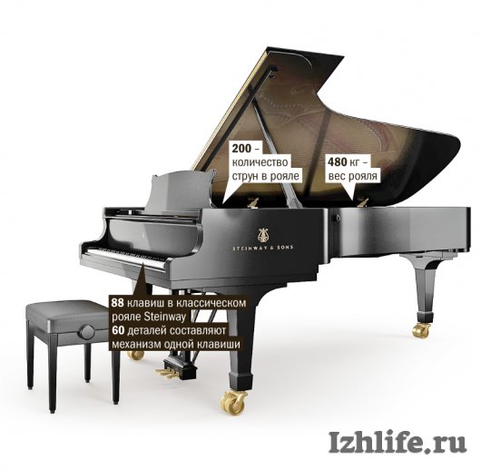 Денис Мацуев в Ижевске сыграет на рояле стоимостью 7,7 миллионов рублей