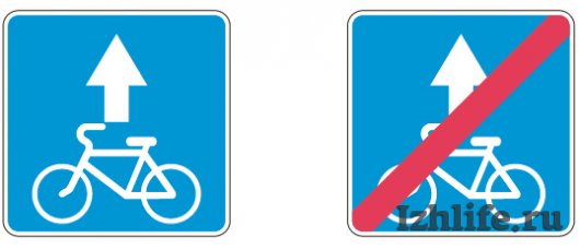 Пешеходный переход по диагонали и новые знаки: в России введены изменения в ПДД
