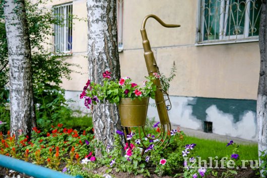 Красивые дворы Ижевска: клумба-виолончель и мини-ферма