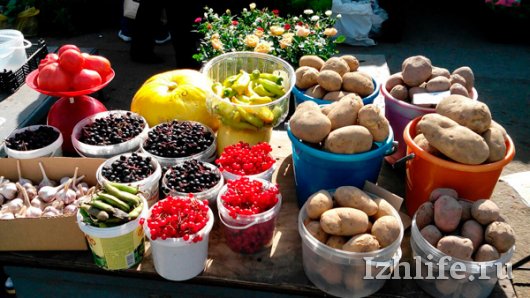 Много картофеля и дорогие помидоры: какой урожай продают на ижевских рынках?
