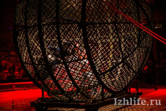 «Борнео» в цирке Ижевска: мотошоу, волки, крокодилы и леопарды на расстоянии вытянутой руки