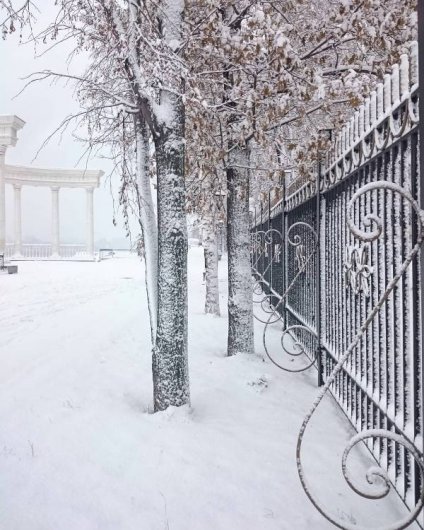 Приезд Летучей из «Ревизорро» и сказочно-снежный Ижевск: о чем утром говорят в городе
