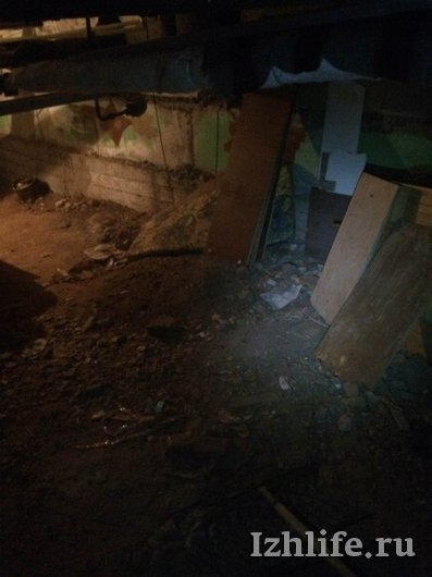 Три ижевчанки спасли замурованных в подвале котят