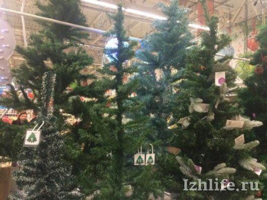 Елочная пора: сколько в Ижевске стоят елки и где их купить?