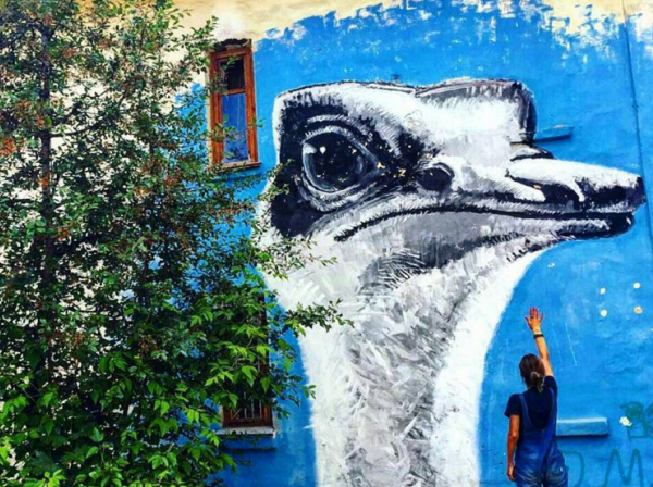 Ижевскому страусу на улице Авангардной завидуют даже пермяки