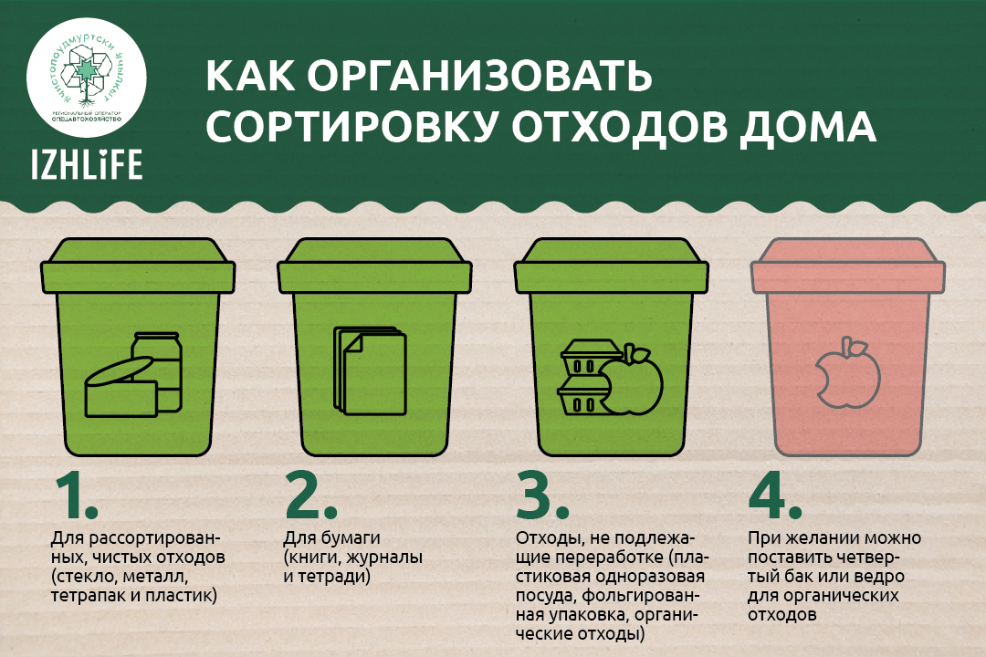 Этапы сбора отходов. Сортировка отходов по видам.