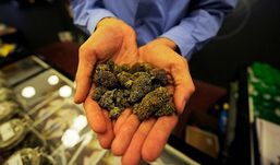 2 5 килограмма марихуаны тор браузер в казахстане hyrda вход