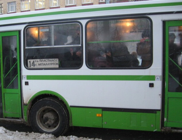 Транспорт ижевск автобус. ИПОПАТ Север Ижевск. ИПОПАТ Север автобус. Корова автобус. ООО ИПОПАТ Север Ижевск автобус.